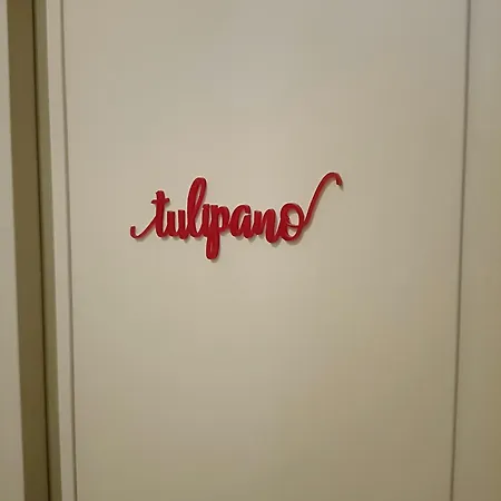 Attico Stadio Appartement Pescara