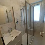 Attico Stadio Apartment