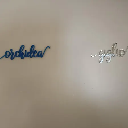 Attico Stadio Apartment *